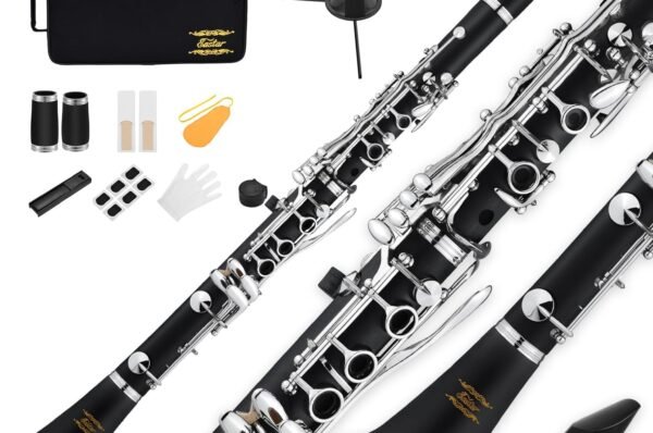 Eastar B Flat Clarinet para principiantes, Ebonite Clarinet chapado en níquel con 2 barriles, 3 cañas, guantes blancos, funda dura, Kt de limpieza, ECL-300