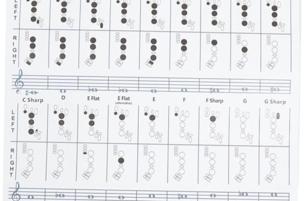 TOYANDONA Póster De Tabla De Acordes De Clarinete Cartel De Clarinete De Papel Recubierto Tabla De Acordes De Clarinete Tabla De Práctica De Clarinete 1 Ud