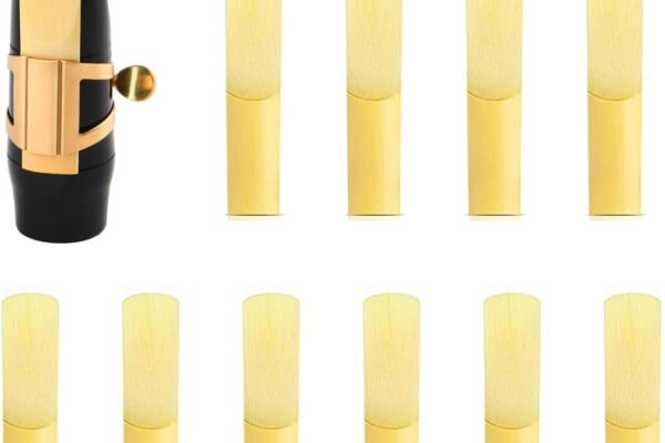 DRERIO Rico Cañas para Saxo Alto 2 Fuerza, Paquete de 10- Cañas tradicional n.2 para clarinete