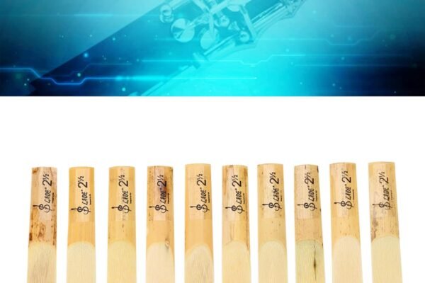 Alomejor Clarinet Reeds 10pcs B-Flat 2.5 Clarinet Reed Repair Parts con Estuche